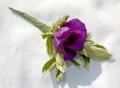 Petal Partners - Wedding Flowers Specialists image 2