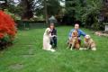 Petpals West Manchester Ltd, Pet Sitting, Dog Walking and Home Boarding image 1