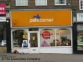 Pets Corner image 1
