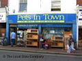 Pets In Town image 1