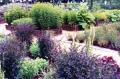 Phil Brown Garden & Landscape Design image 3