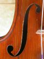 Philip Brown Violins logo