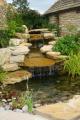 Phoenix Garden Design Ltd image 4