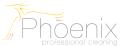 Phoenix Professional Cleaning logo