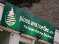 Pines and Needles - Bluewater image 1