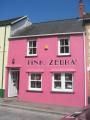 Pink Zebra, Ladies Clothing and Accessories. logo