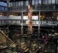 Pitt Rivers Museum image 5