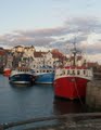 Pittenweem Harbour Office image 6
