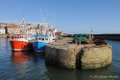 Pittenweem Harbour Office image 1