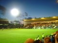 Plymouth Argyle FC image 1