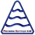 Pneuma Springs Publishing logo