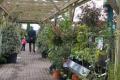 Podington Garden Centre image 2