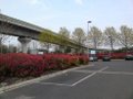 Pontoon Dock DLR station image 3