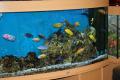 Porton Garden, Aquatics & Pets image 8