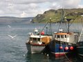 Portree image 9