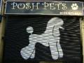 Posh Pets image 5