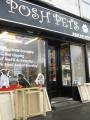 Posh Pets image 6