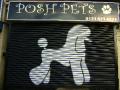Posh Pets image 1