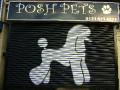 Posh Pets logo