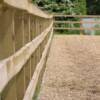 Potten Farm Equestrian image 2