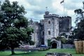 Powderham Castle image 4