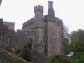 Powderham Castle image 5