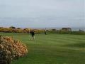 Powfoot Golf Club image 4