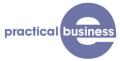 Practical E-Business logo