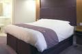 Premier Inn Gatwick Airport South image 10