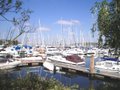 Premier Marinas Chichester image 2