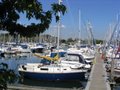 Premier Marinas Chichester image 5