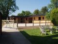 Premier Stables image 1