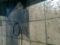 Pressure Wash and Gardening Services image 3