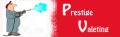 Prestige Valeting logo