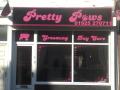 Pretty Paws dog and cat grooming salon and puppy day care. image 3