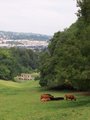 Prior Park Landscape Garden logo