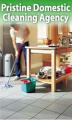 Pristine Domestic Cleaning Agency image 1