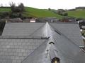 Pro-Tex Roofing image 1
