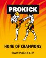 Prokick Gym logo