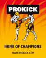 Prokick Gym image 1