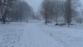 Prospect Park image 2