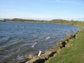Pugneys Country Park image 3