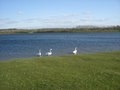 Pugneys Country Park image 7