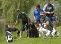 Purbeck Gundog School image 2