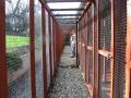 RIVERBANK CATTERY image 8