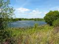 RSPB Middleton Lakes image 4