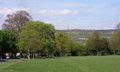 Radnor Park image 10