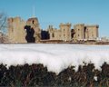 Raglan Castle image 2