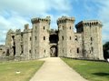 Raglan Castle image 3