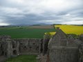 Raglan Castle image 3